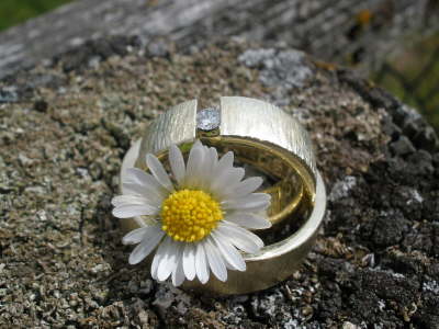 Spannring Gelbgold